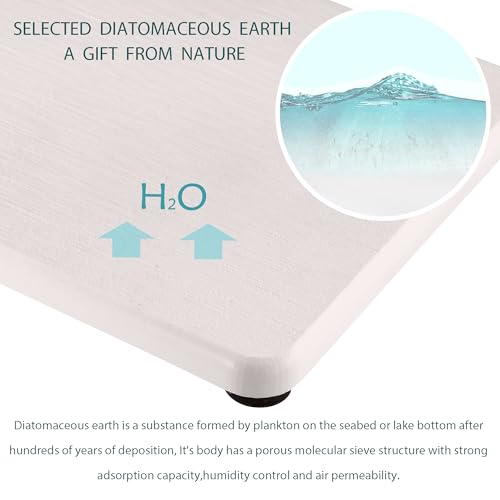 2Pcs Stone Soap Trays Water Absorbing Diatomite Coaster (2 Count)