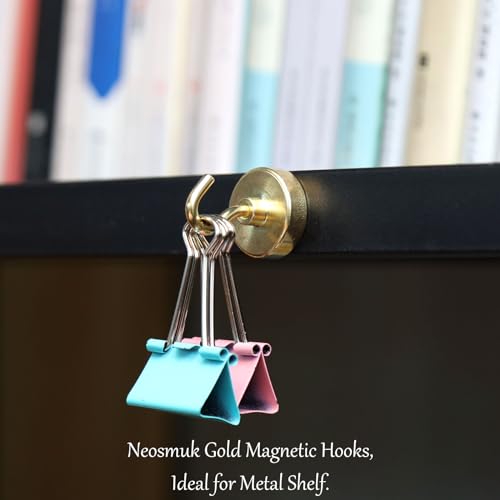 Magnetic Hooks (10 Count)