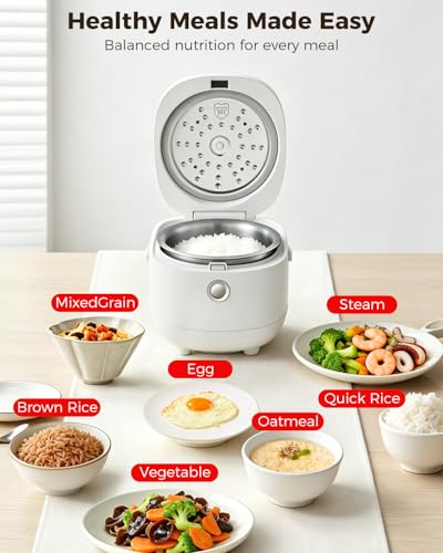 Stainless Steel Rice Cooker Small 6 Cup