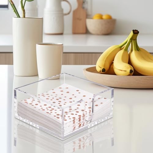 2 Pack Napkin Holder