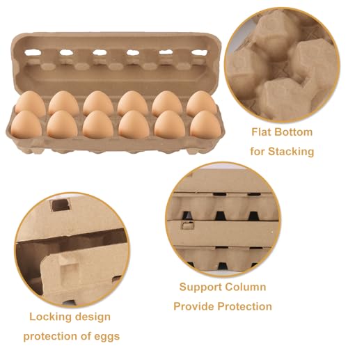 25 Pack Egg Cartons Bulk (25 Count)