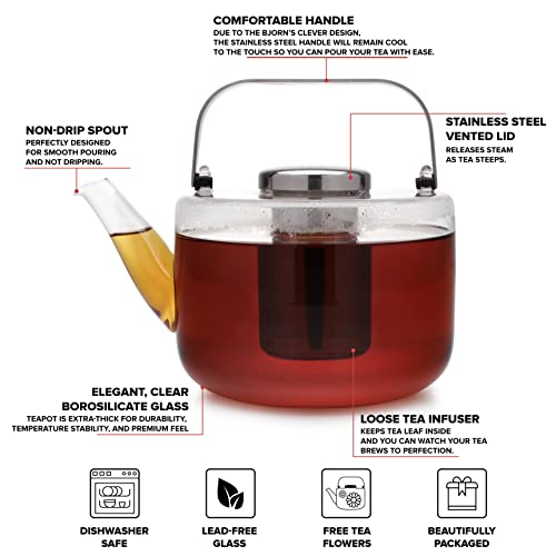 Viva Bjorn Borosilicate Glass Tea Pot for Stovetop with Loose Leaf Tea Infuser Mesh
