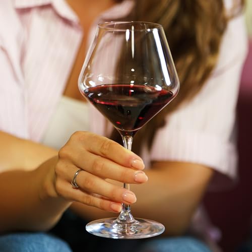Revolution Burgundy Red Wine Glasses 18 1 (6 Count)