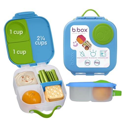Mini Lunch Box
