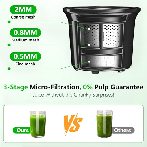 Cold Press Juicer