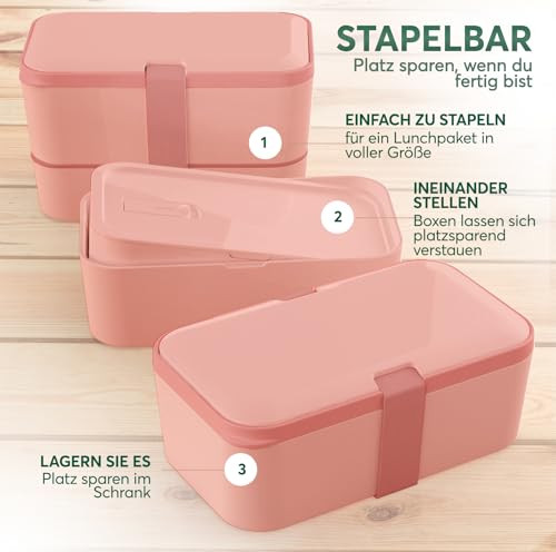 Lunch Box Containers w