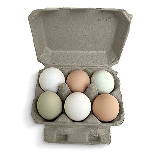 Half Dozen Blank Egg Cartons (100 Count)