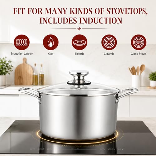 6 Quart Stock Pot