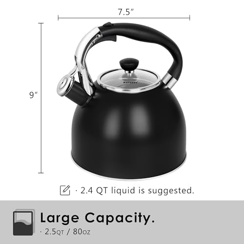 2.6 Quart Whistling Stainless Steel Tea Kettle for Stovetop