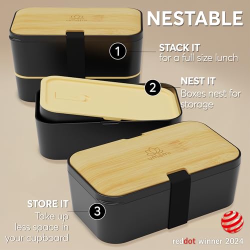 Bento Box Adult
