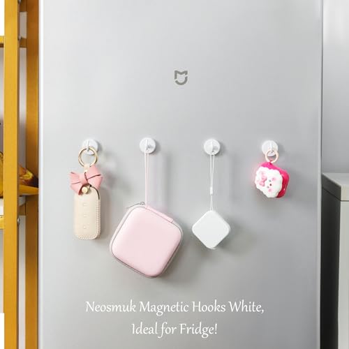 Magnetic Hooks (10 Count)