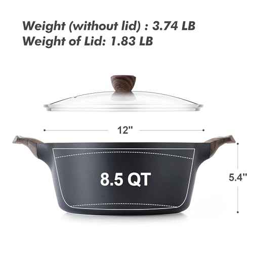 Nonstick Stock Pot with Lid