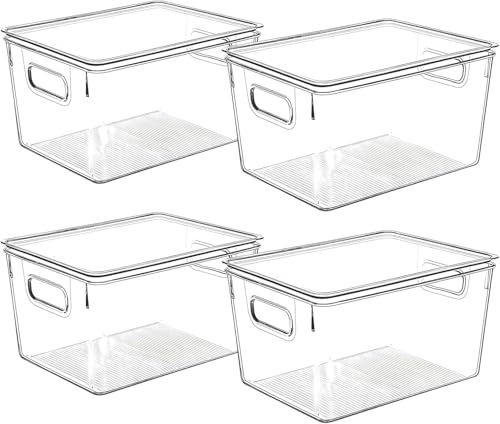 Clear Plastic Storage Bins with Lids (4 Count)