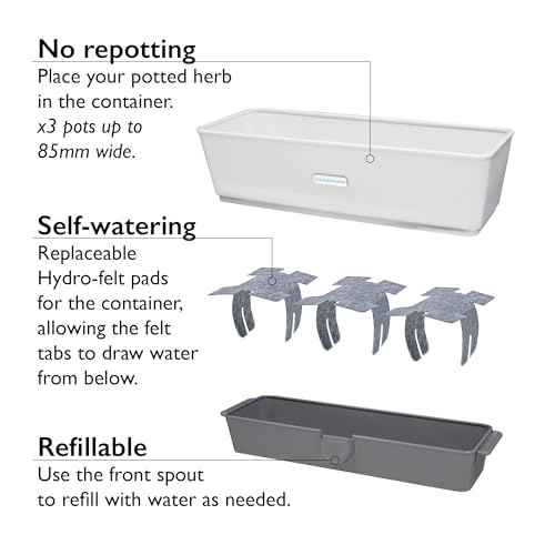 Burwell Self Watering Potted Herb Keeper