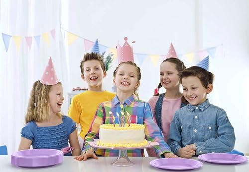 Sturdy Lavender Plastic Plates 9" Party Plates 100 Pcs (100 Count)