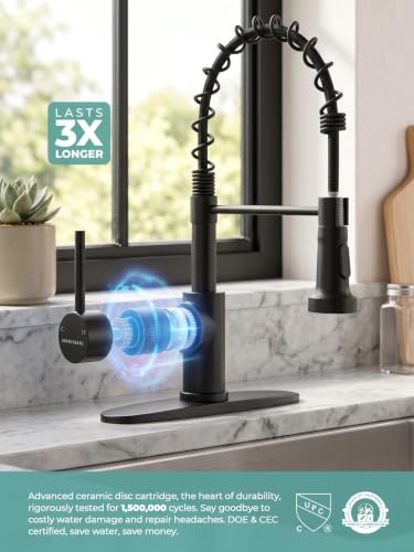 Touchless Kitchen Faucet