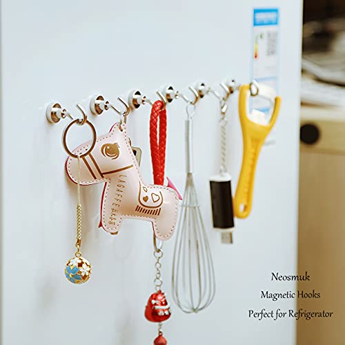 Magnetic Hooks (15 Count)