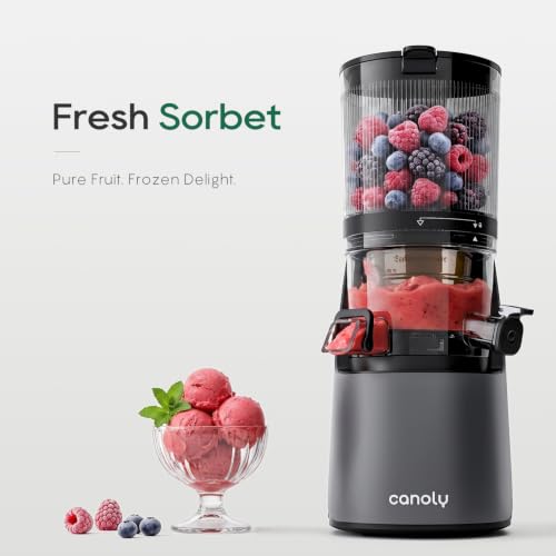 3-in-1 Cold Press Juicer C16, Makes Juice & Sorbet & Nut Milk