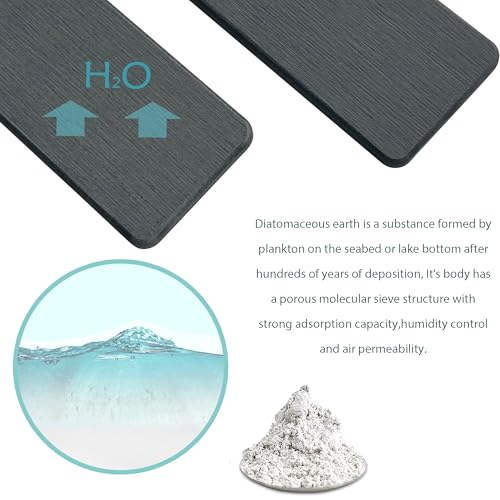 2Pcs Stone Soap Trays Water Absorbing Diatomite Coaster (2 Count)
