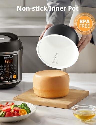 Small Rice Cooker with 10