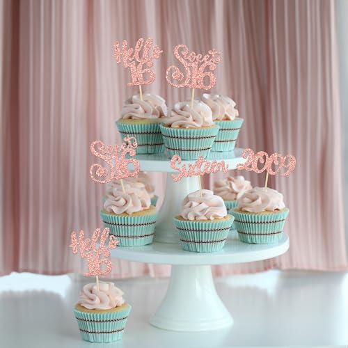 24pcs 16th Birthday Cupcake Toppers (24 Count)