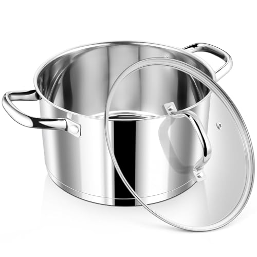 6 Quarts Stock Pot with Lid
