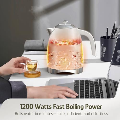 Electric Kettle 1.7 Liers