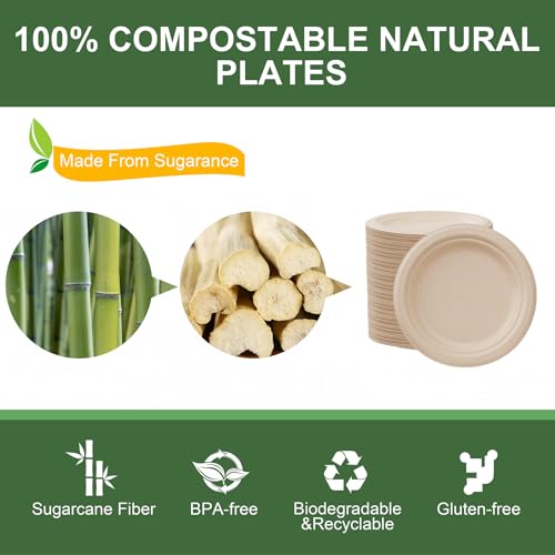 Paper Plates 9 Inch 125 (125 Count)
