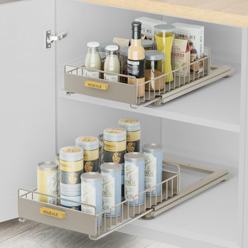Under Sink Organizer