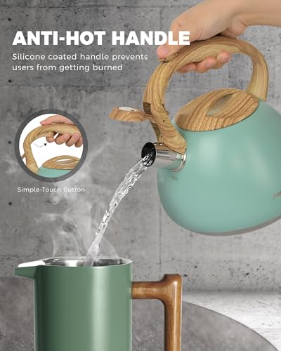 POLIVIAR Tea Kettle