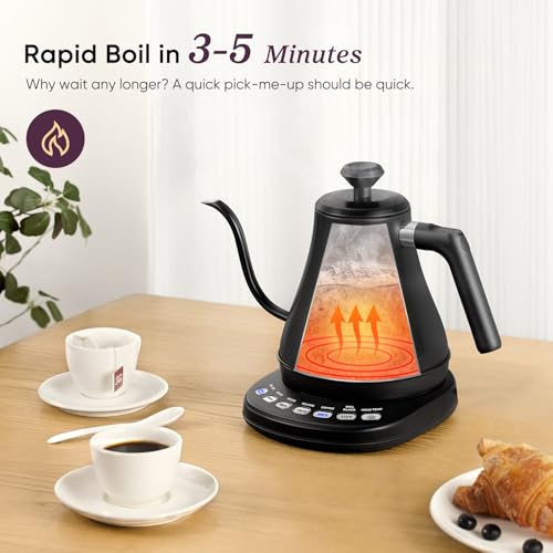 Gooseneck Electric Kettle with Temperature Control