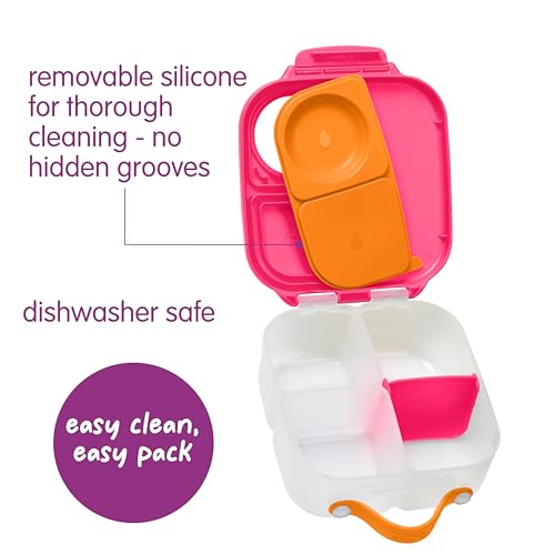 Mini Lunch Box