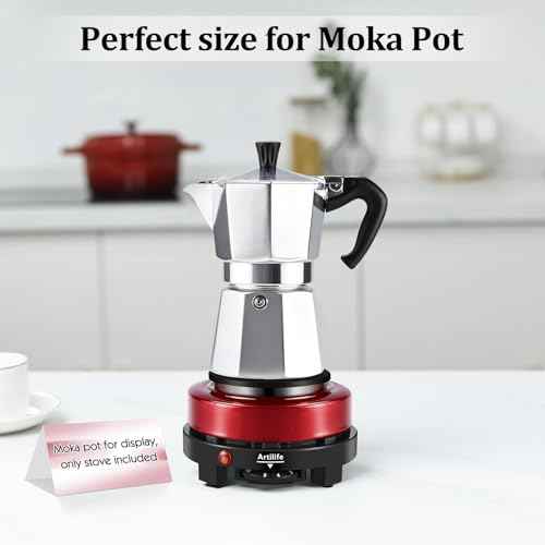 500W Mini Electric Hot Plate