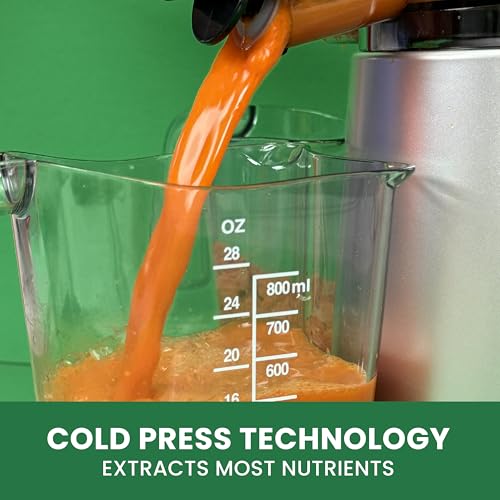 Juicer Cold Press 365 Vertical 65 RPM Slow Masticating Compact Extractor for Fruits and Vegetables with 3 Stage Auger & BPA
