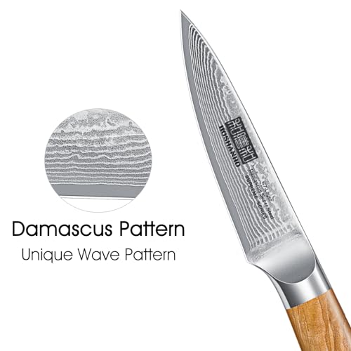 Damascus Paring Knife 3.75"