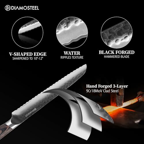 Japanese Bread Knife