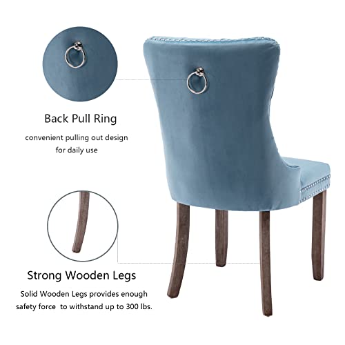 Light Blue Velvet Dining Chairs Set of 2 (2 Count)