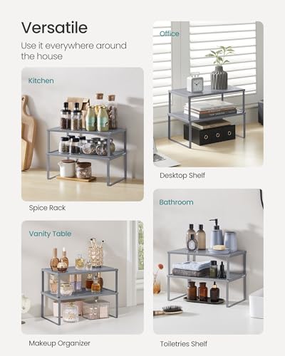 Set of 2 Metal Spice Racks (2 Count)