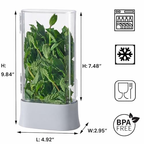 Herb Keeper for Refrigerator (2 Count)