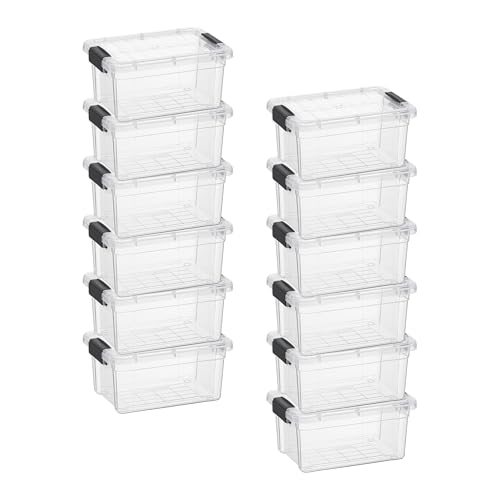1.05 Quart Mini Clear Plastic Storage Container with Lid (12 Count)