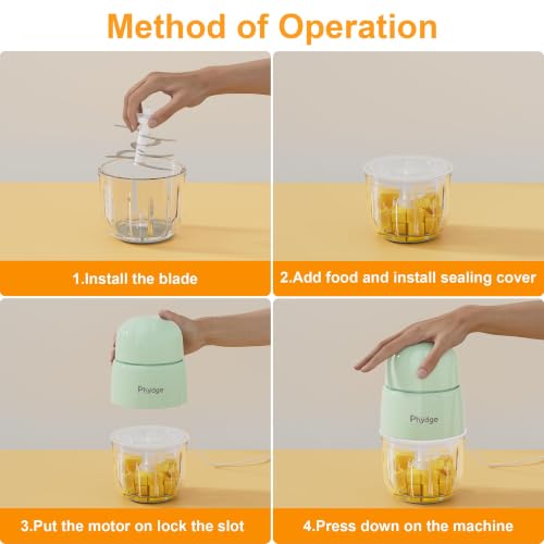Baby Food Maker for Baby Puree Foods Fruit Vegetable Meat