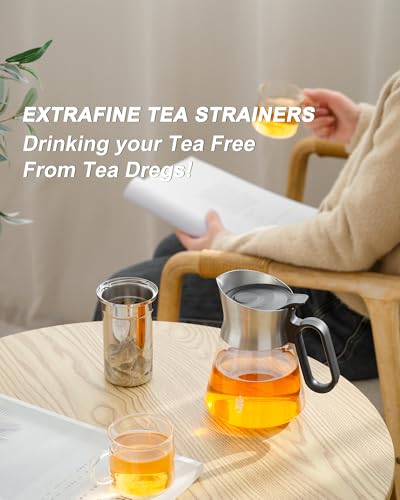 17 oz Small Glass Teapot with Infuser For Loose Leaf Tea Steeper