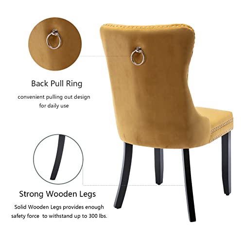 Gold Velvet Dining Chairs Set of 4 (4 Count)