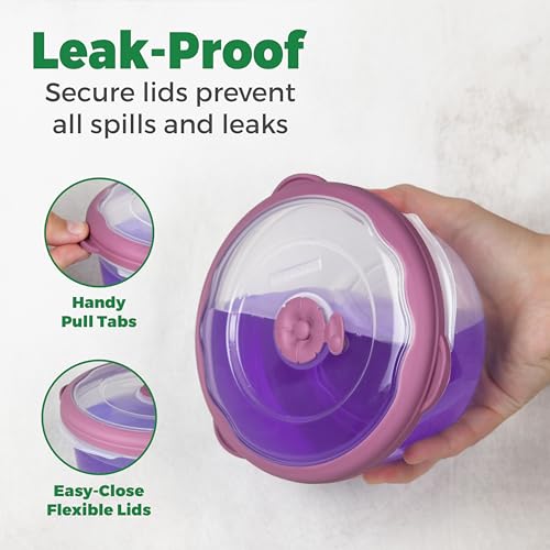 3.1 Cup Plastic Bowls Food Storage Container With Lid For Leftovers (25 Fl Oz)