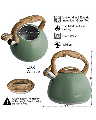Poliviar Tea Kettle
