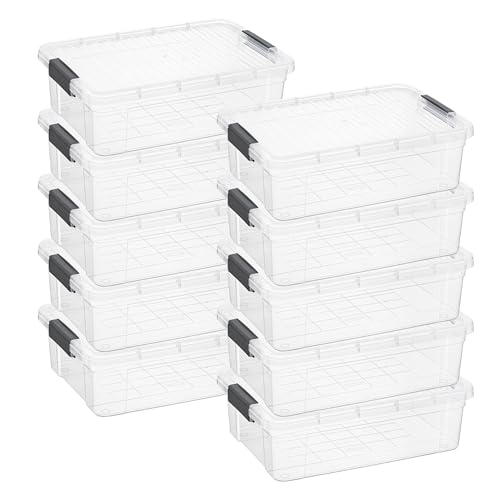 22.5 Quart Clear Plastic Storage Boxes with Lids (10 Count)