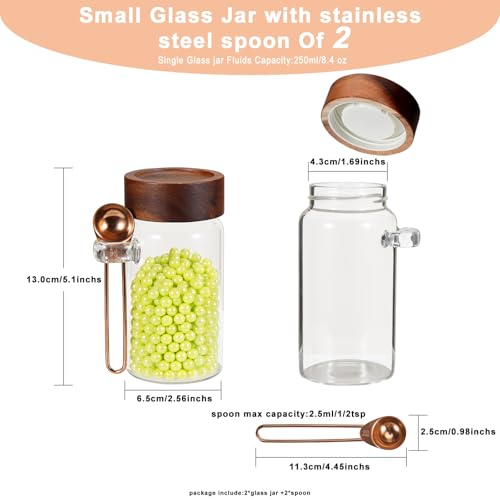 8 oz Small Glass Mason Jars with Scoop Wooden Screw Lid Spice Herb Storage Container Clear Round Glass Food Canister for Seasoning Sugar Tea Coffee Bean Spice Salts Pantry