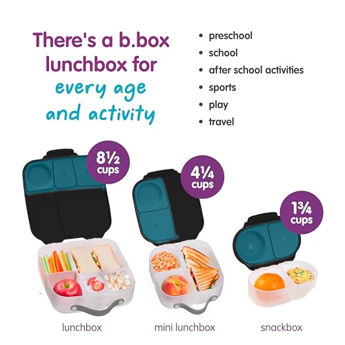 Mini Lunch Box