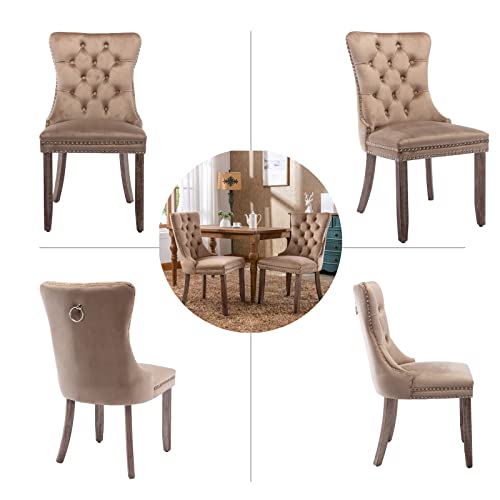 Khaki Velvet Dining Chairs Set of 2 (2 Count)