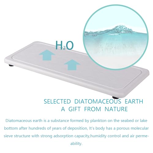 2Pcs Water Absorbent Diatomite Coasters Bathroom Sink Stone Trays (2 Count)